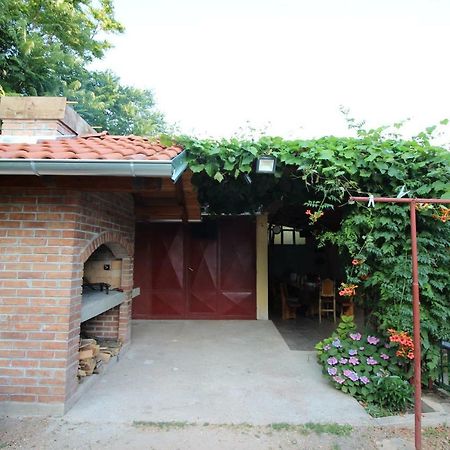 Apartmani Irena 诺维·维诺多尔斯基 外观 照片