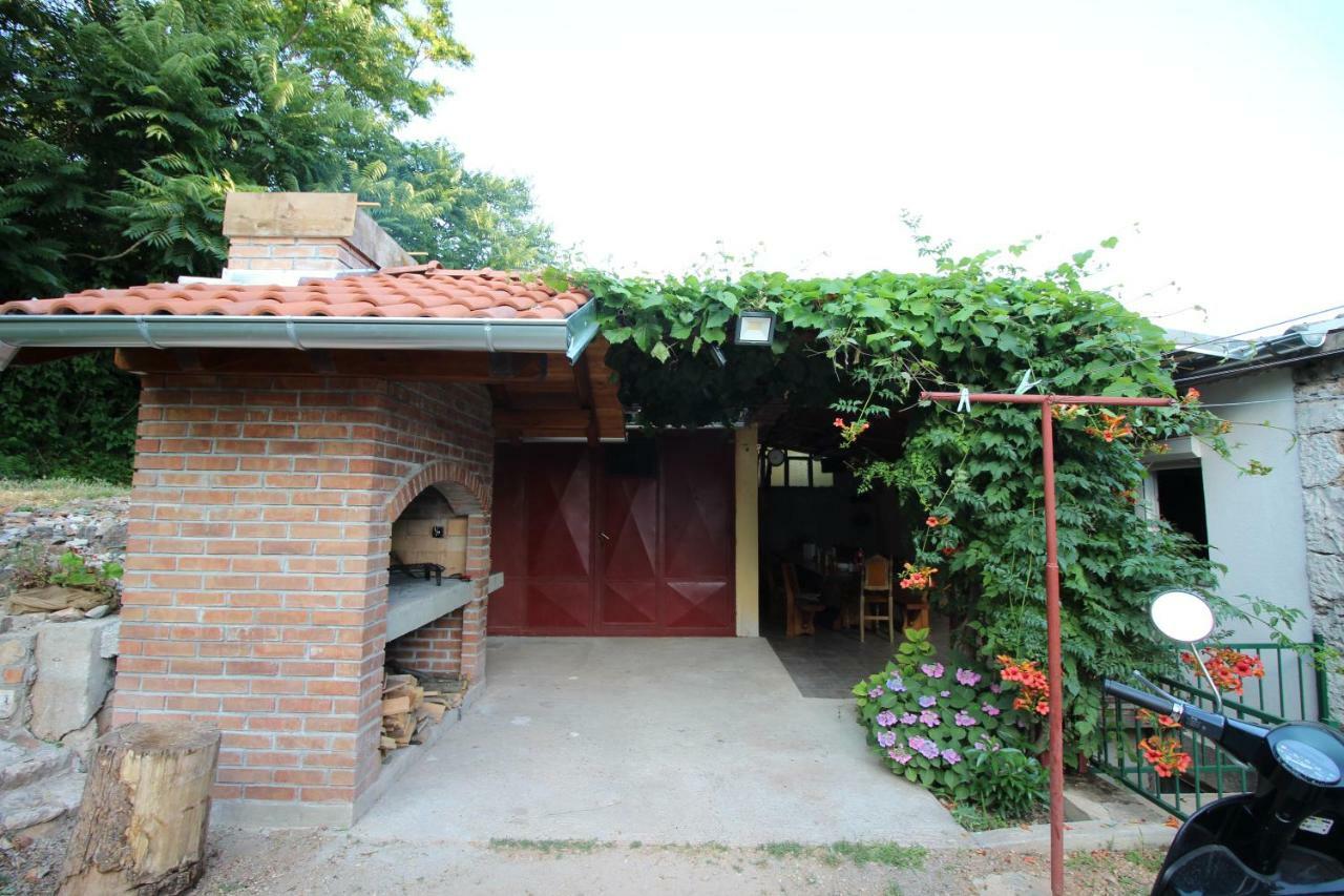 Apartmani Irena 诺维·维诺多尔斯基 外观 照片