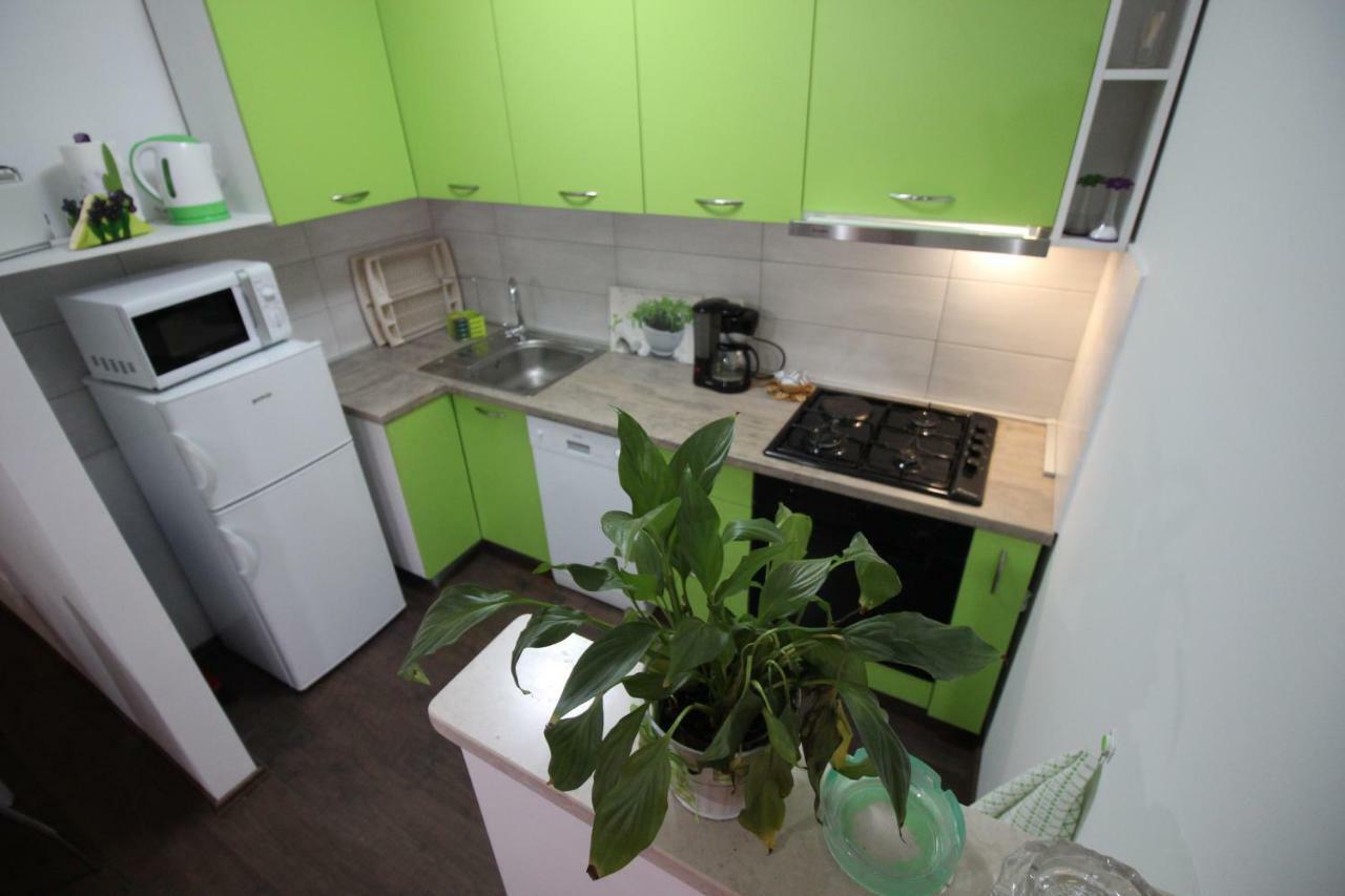 Apartmani Irena 诺维·维诺多尔斯基 外观 照片